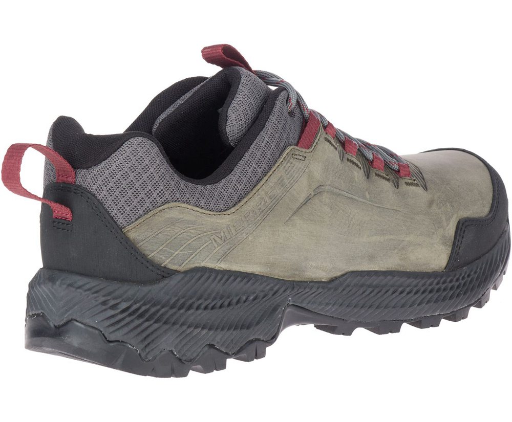 Merrell Hiking Shoes Olive/Black - Forestbound - Mens 73ULKCMWY